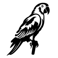 parrot vector