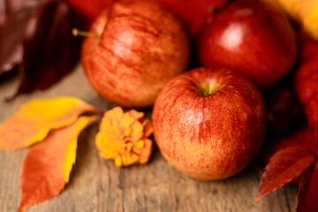 Red apples on the table. Autumn arrangement of apples and pumpkins