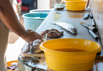 Fisherman's hands arranging fish, work of preparing fish in fishmongers at the time of sale,...