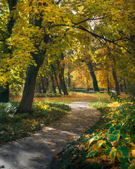 Piękna złota Polska jesień w Warszawskim Parku. Jesienne kolorowe alejki, klimatyczna pora roku