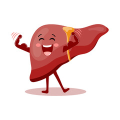 Cute cheerful cartoon character of a healthy human liver. Human anatomy, medical concept. Illustration, icon, vector