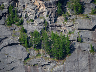 Big granite wall of a mountain with a tree forest above a cliff,