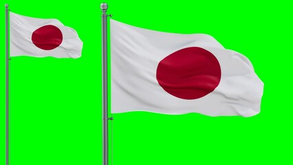 Japan looped flag waving in the wind with colored chroma key for easy background remove, cycle seamless loop video