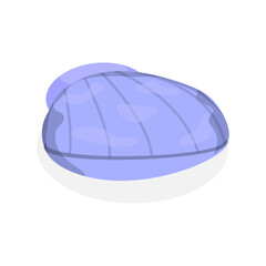 3D Isometric Flat  Set of Seashells. Item 6