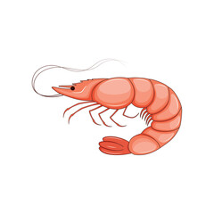 Pink shrimp icon isolated on a white background. Marine inhabitants. Vector illustration