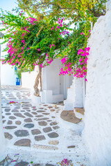 Mykonos, Greece. Wiew of whitewashed cycladic street in beautiful Mykonos town, Cyclades Greek Islands.