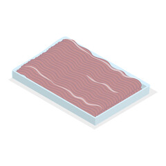 3D Isometric Flat  Set of Frozen Meat. Item 2