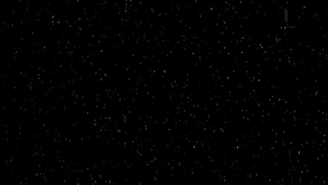 Wet snowflakes falling down on black loop copy space background. 