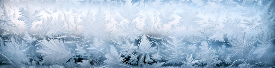Ice crystal patterns on a frosty window