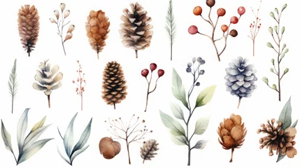 Foto auf Alu-Dibond watercolor winter plants, cones clipart, white background, copy space, 16:9 © Christian