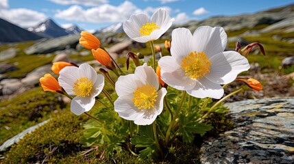  a group of white and orange flowers sitting on top of a lush green field next to a rocky mountain range.  generative ai