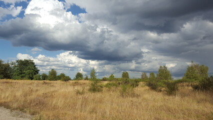 I would like to go back there 1