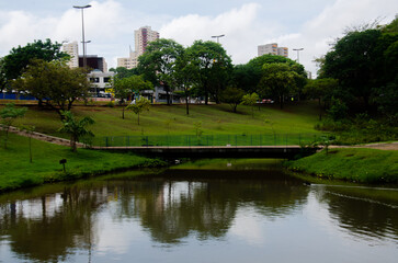 Bauru, São Paulo, Brazil - October, 08 2023: Vitoria Regia's park. Bauru Postcard
