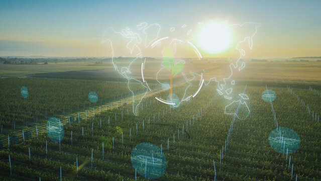 Aerial monitoring harvest growth progress with smart hologram. Data collection and analysing by artificial intelligence worldwide production intensive smart agriculture