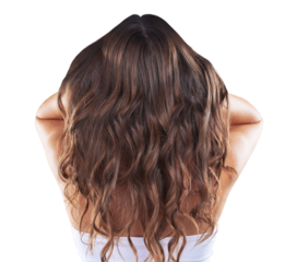 Beauty, hair care and back of woman for salon on isolated, png and transparent background for growth. Haircare, hairdresser and person with curl hairstyle for healthy texture, shine and cosmetics