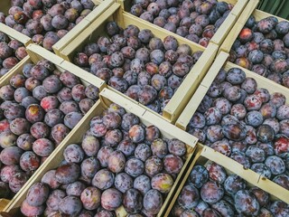A close-up of Santa Clara plums in wooden crates. Prepared for sale on a pallet