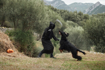 A person dressed as the Grim Reaper in a natural setting is playfully threatened by a Gordon Setter...