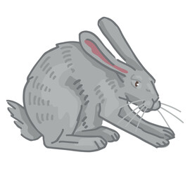 Cartoon clipart of cute hare, bunny. Doodle of forest wild animal. Vector illustration isolated on white background.