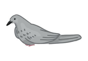 Doodle of pigeon. Cartoon clipart of city bird. Contemporary vector illustration isolated on white background.