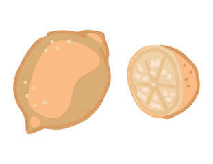 Lemon fruits doodle. Cartoon clip arts of whole and cut citrus fruit. Contemporary vector illustration isolated on white background.