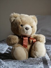 Brown plush teddy bear resting on a bed.