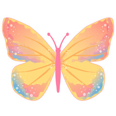 orange butterfly illustration