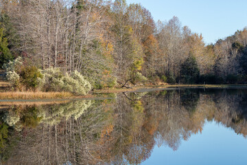 Lake reflections of trees and sky