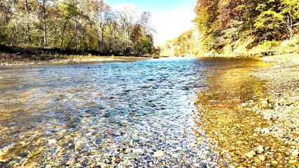Water flowing in a river through a forest showing autumn colors. The sky is blue and clear. No one...