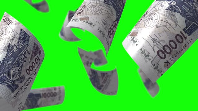 Falling African Monetary Union banknotes. Seamless loop Green screen.