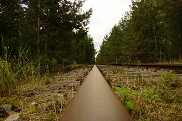 Fototapeta premium Abandoned railroad track, lined with emerald green evergreen trees and rough, rocky terrain