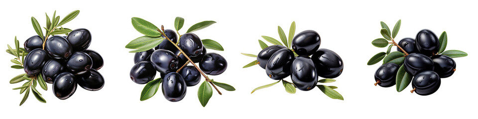 Black olives with leaves Hyperrealistic Highly Detailed Isolated On Transparent Background Png File