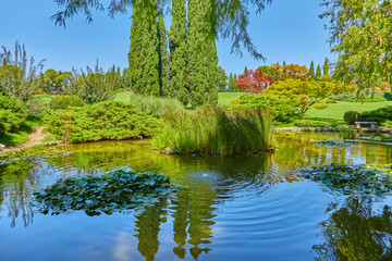 Romantic pond in the park garden sigurta, ( parco giardino sigurta ) near the village of valeggio on the mincio. Italy.
