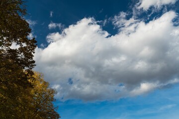Fototapeta premium A Large White Cloud Resembling Chimney Smoke is Pouring on the Blue Sky from Behind a Colorful Tree