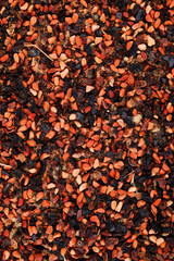 Dried Rose Hip Tea Background Texture