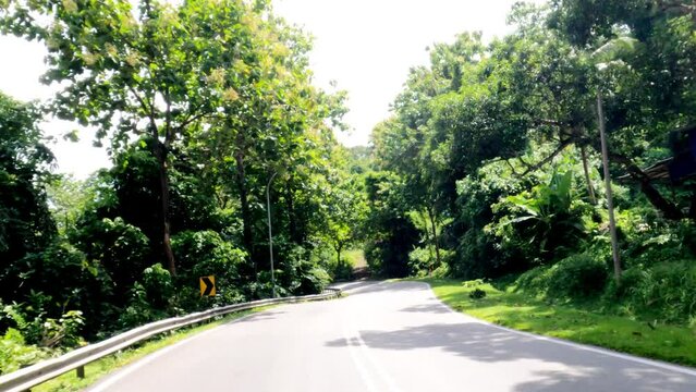 Driving on a beautiful road in the rainforest on a tropical island