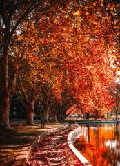 Picturesque scene of a winding river surrounded by vibrant red autumn trees