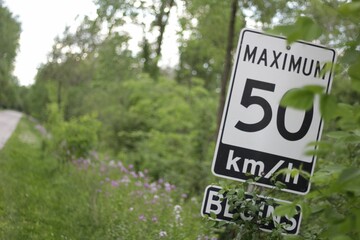 Maximum 50 km an hour sign with overgrown plants in Ontario, Canada. - obrazy, fototapety, plakaty