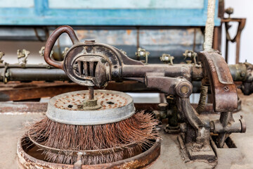 Sericulture step by step silk production process in Soufli Evros Greece, white silk cocoon on the leaves