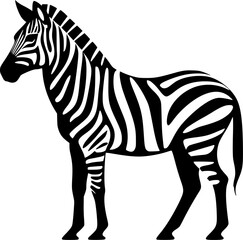 Fototapeta premium Zebra | Black and White Vector illustration