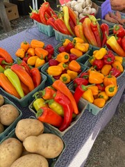 Colorful Vegetables and Peppers on Display