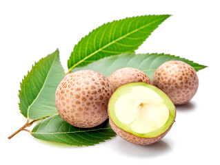Macadamia with green leaves isolated on a white background.