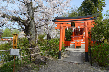 春の神泉苑　矢剣稲荷社　京都市中京区