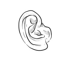 Ear handdrawn illustration
