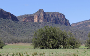 Fototapeta na wymiar Mountain and trees landscape in the Capertee Valley in New South Wales, Australia