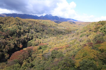 八ヶ岳高原大橋、秋、紅葉
