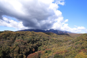八ヶ岳高原大橋、秋、紅葉