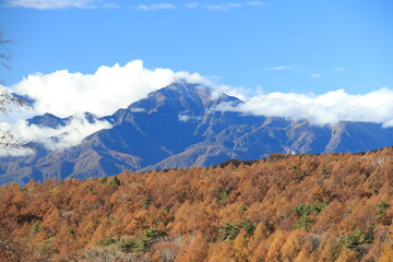美し森、展望台から眺めた山々と木々