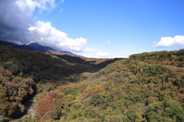 八ヶ岳高原大橋、秋、紅葉