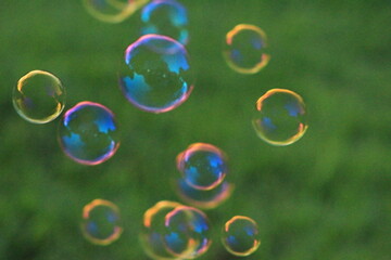 soap bubbles on green background
