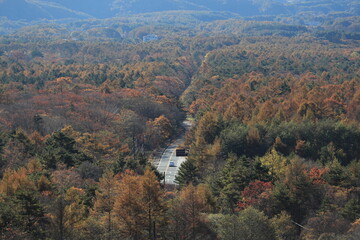 美し森、展望台から眺めた紅葉から垣間見える道路